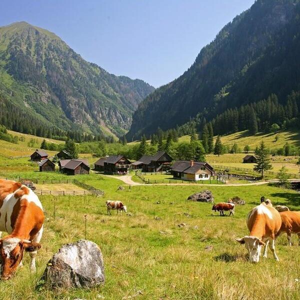 4 Sterne Haus Grundner