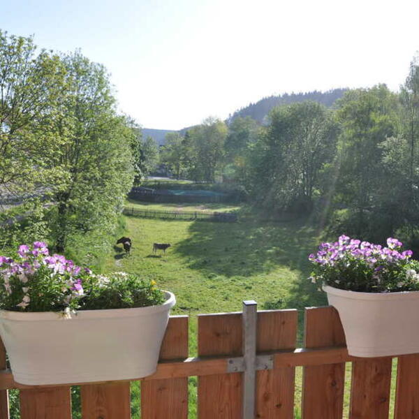 Ferienwohnungen Hexenstuben