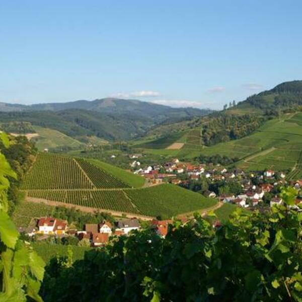 3 Sterne Gasthaus & Pension Hohberg