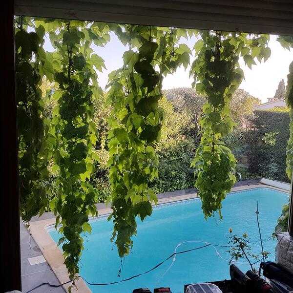 Ferienhaus Nagel in Cap d'Agde Südfrankreich