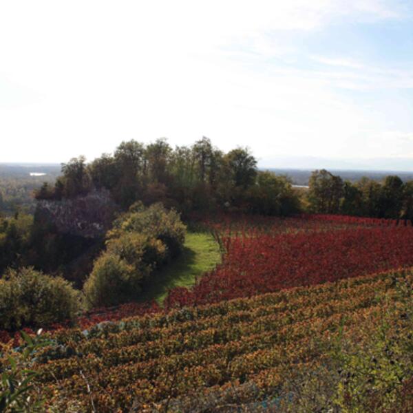 Ferienwohnung Limbergblick