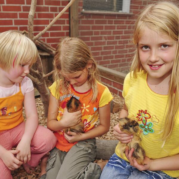 Der Eichenhof – Pension - Café – Tagungshaus