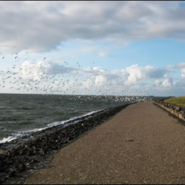 Ferienwohnungen Ohrt