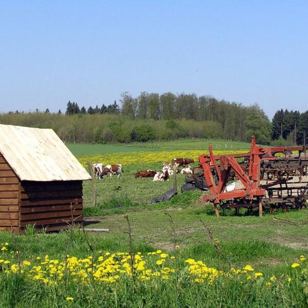 3 Sterne Paffratherhof