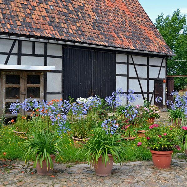 Ferienhof & Pension Hahn