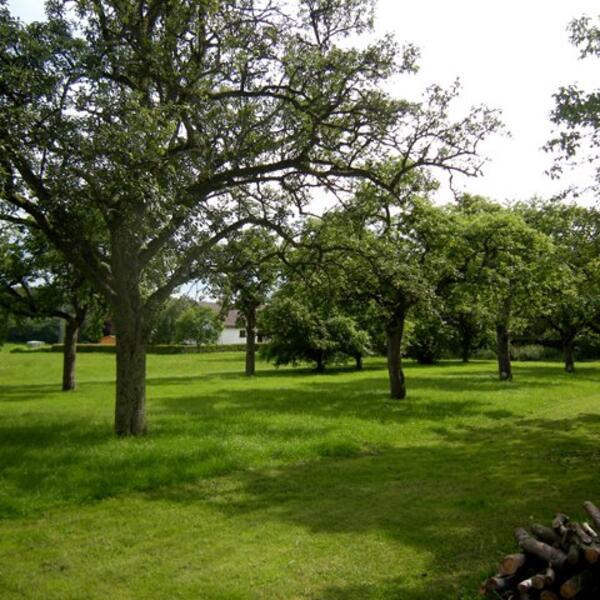 Pension Haus Marlene