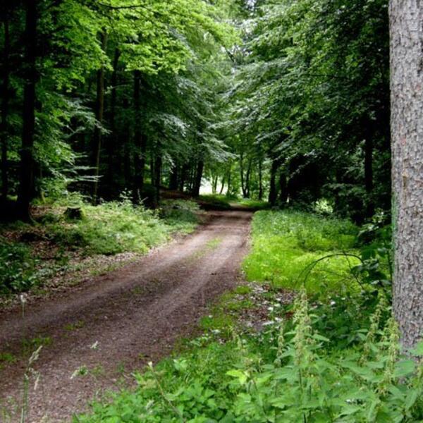 Pension Haus Marlene