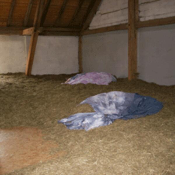 Ökoferienhof Retzbach