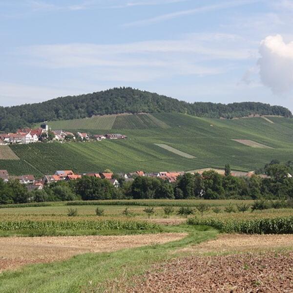 Ferienwohnungen Sachsenheim