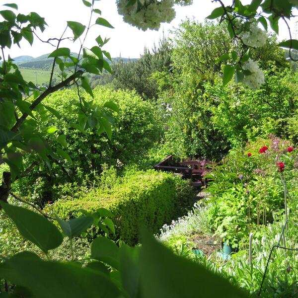 Ferienwohnung Salker