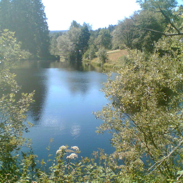 Landgasthof Schmitt & Pension Gemsennest