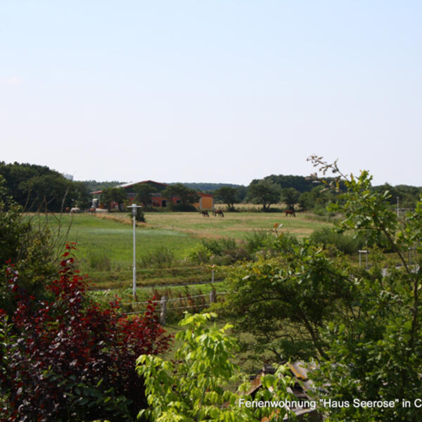 Ferienwohnung Haus Seerose