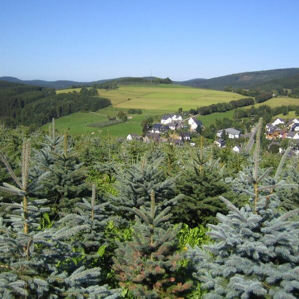 Ferienwohnungen Haus Sonnenblick