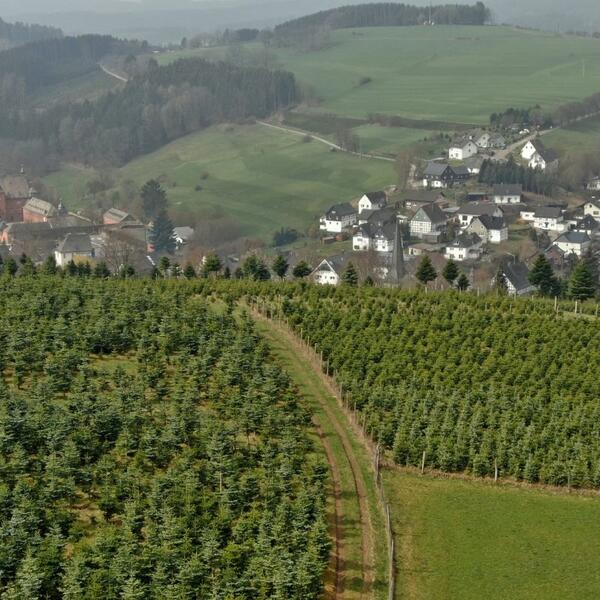 Ferienwohnungen Haus Sonnenblick
