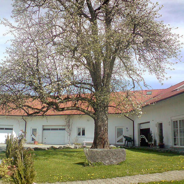 Ferien & Obsthof Sonnenhalde