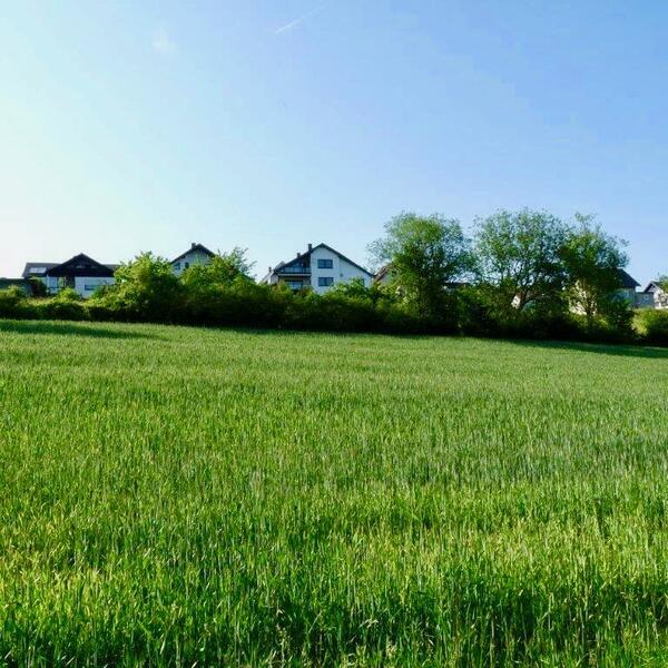 Ferienwohnung Specht