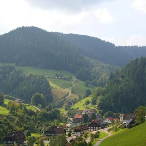 Ferienwohnung Am Sulzbächle