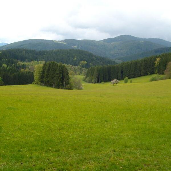 Ferienwohnung Am Sulzbächle