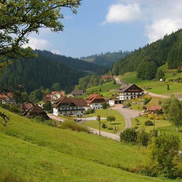 Ferienwohnung Am Sulzbächle