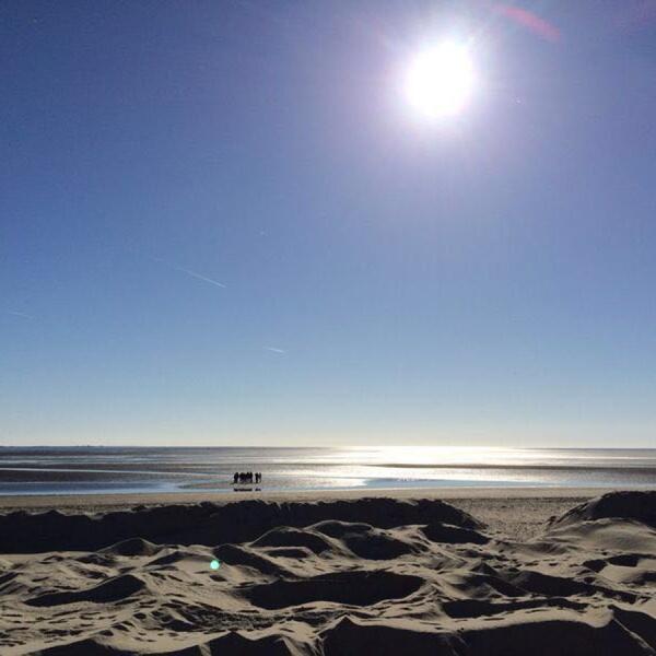 Ferienhaus in Utersum