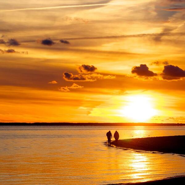 Ferienhaus in Utersum