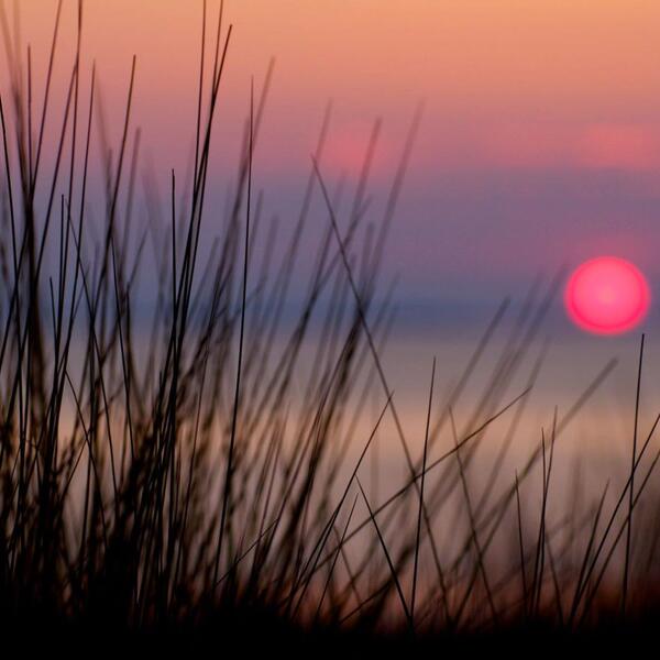 Ferienhaus in Utersum