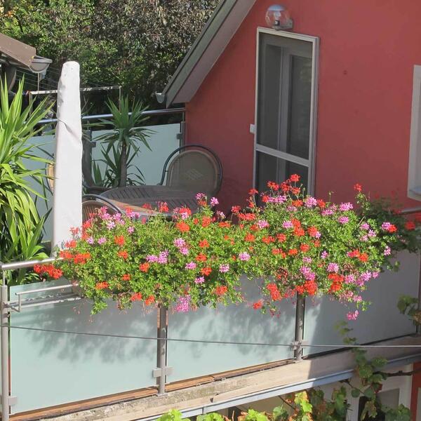 3 Sterne Ferienhaus & Weingut Frank Schmidt