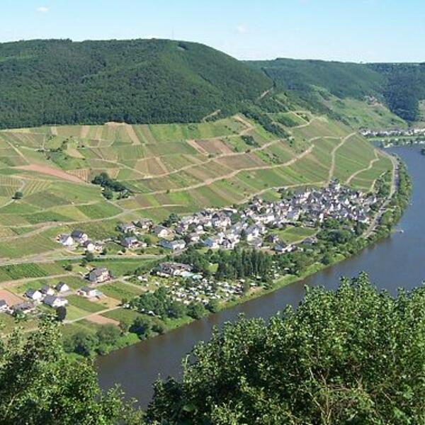 Wein- und Gästehaus M. Bai
