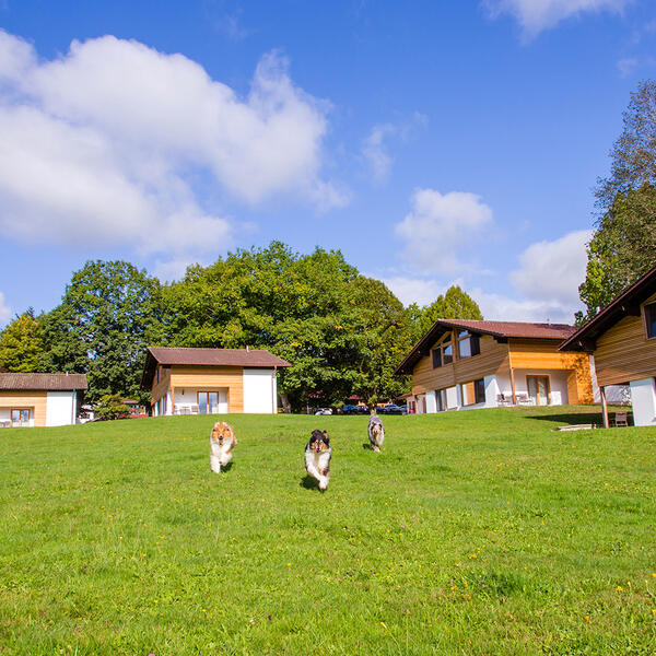 Gutshotel Feuerschwendt