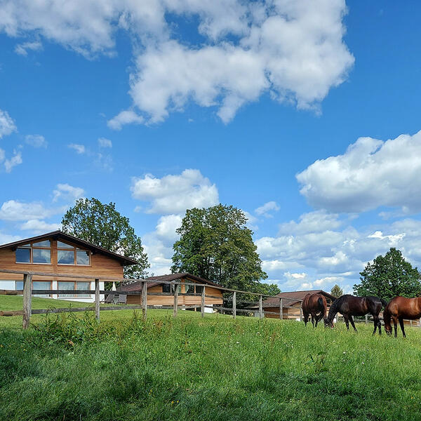 Gutshotel Feuerschwendt