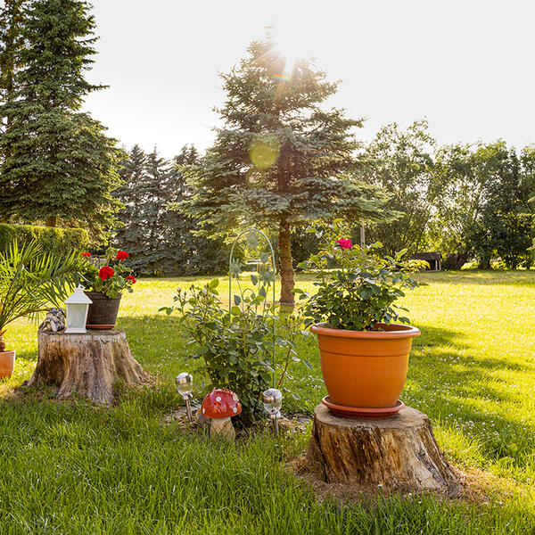 Ferienwohnung Familie Jensch