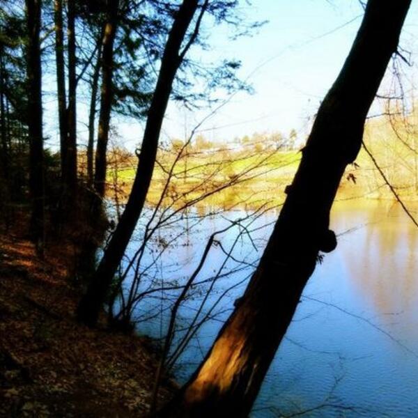 Waldcamping Hüttenhof