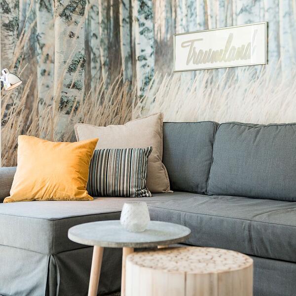 Wohnzimmer mit Doppel-Ausziehsofa