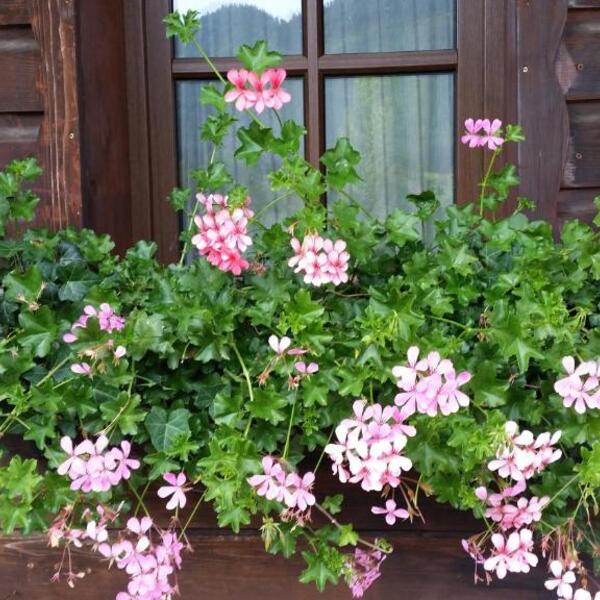 Landhaus Weißer Hirsch