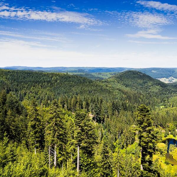 Gästehaus Heimenberg