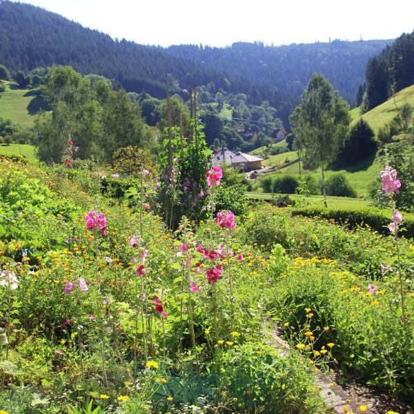 Gästehaus Heimenberg