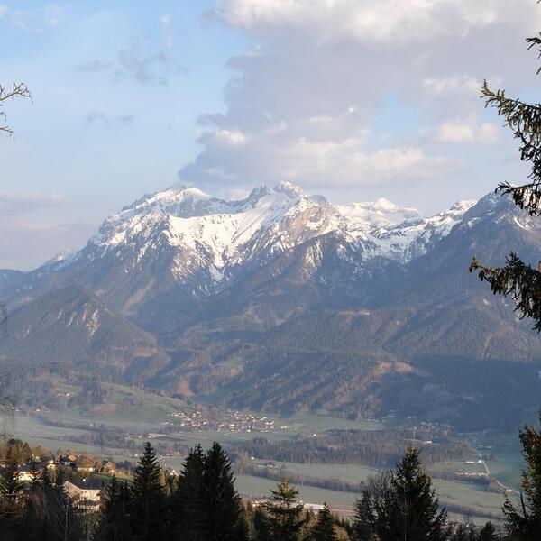 Ferienwohnungen "Hirzhof"