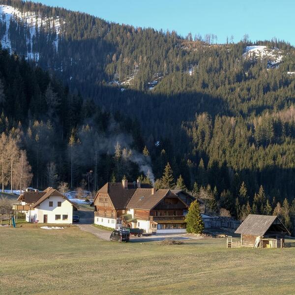 Ferienwohnungen "Hirzhof"