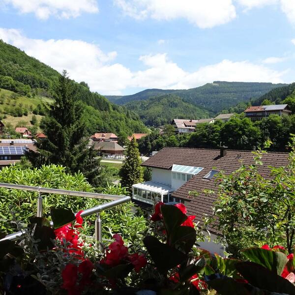 Ferienwohnung Marliese