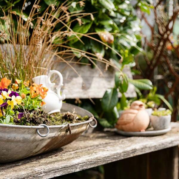 Bauernhofcafe Morgenfelderhof