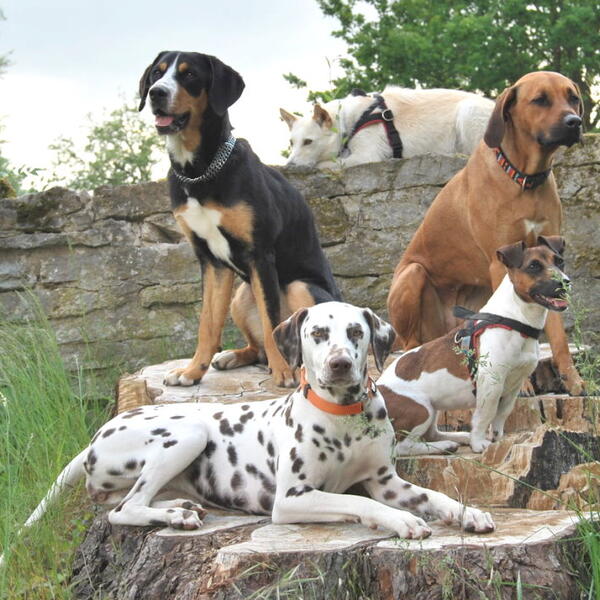 Landhaus Blumengarten