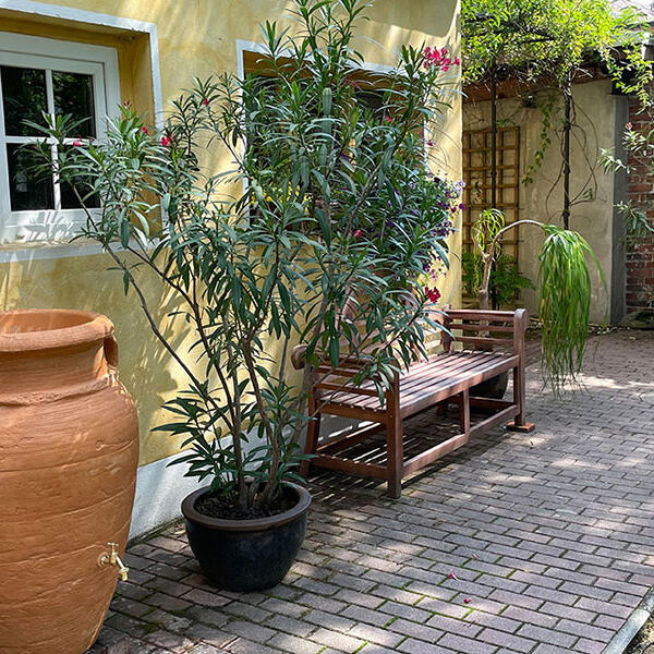 BLOO TOMATO - Pension und Ferienzimmer