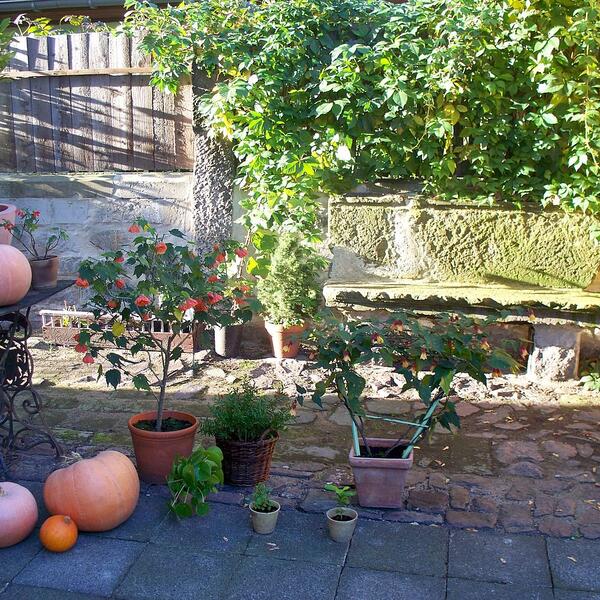 Dammschloesschen Dresden