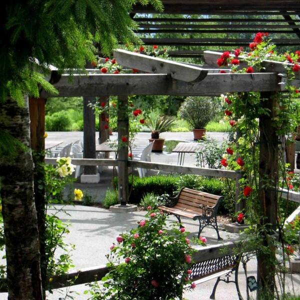 Schlank Schlemmer Hotel Kürschner 