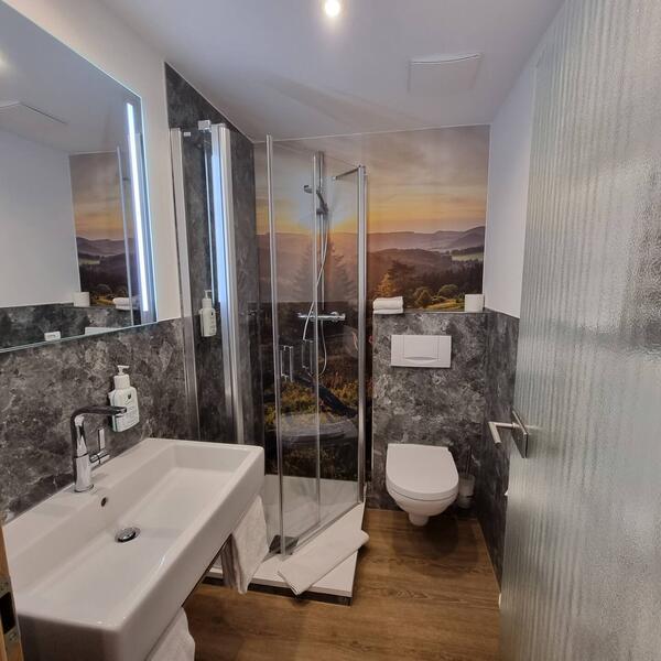 3 Sterne Waldhotel Willingen