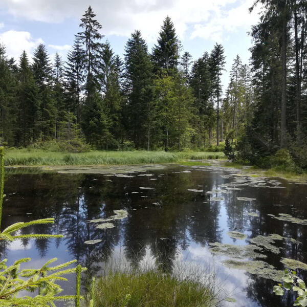 Rettenbacher Gästehaus