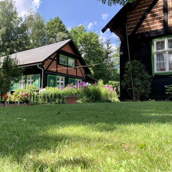 Umgebung im Spreewald 