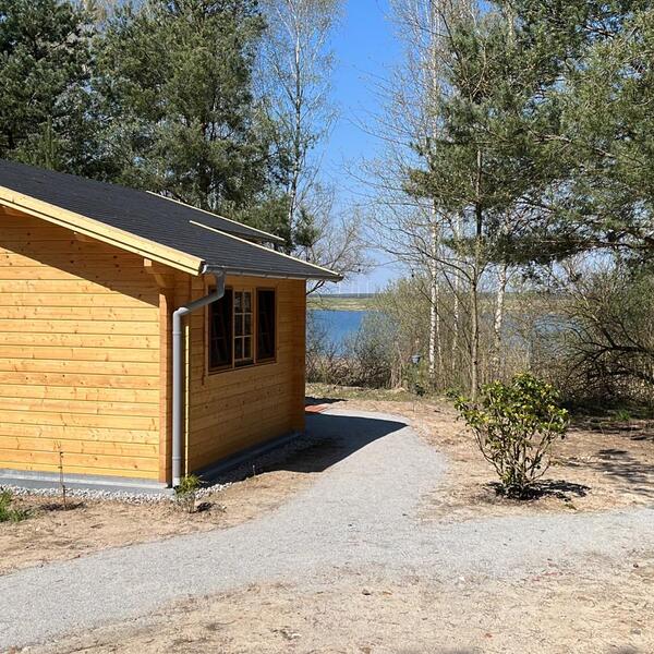 Ferienhaus Seevögel