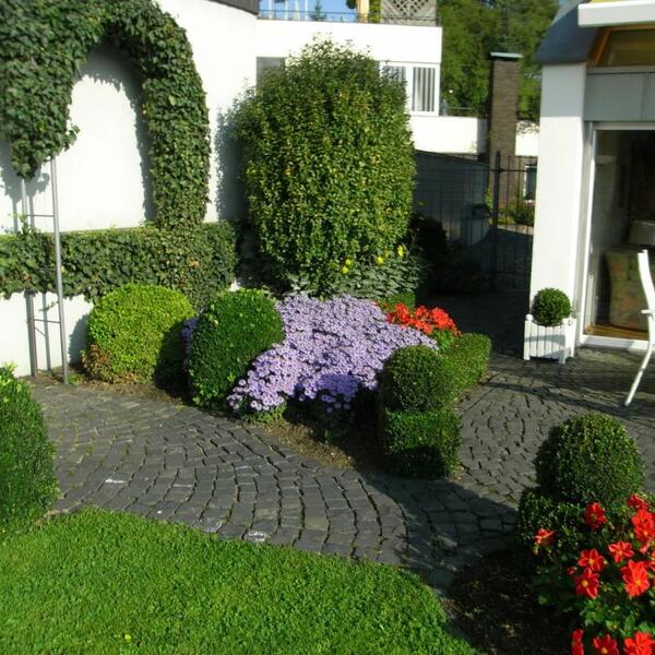 4 Sterne Apartment Koblenz Immendorf 