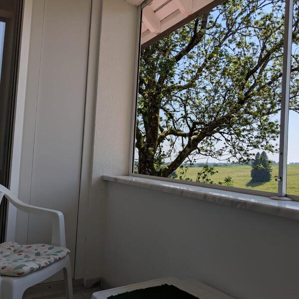 Haus Ingeborg - Südschwarzwald  Zurück zur Natur